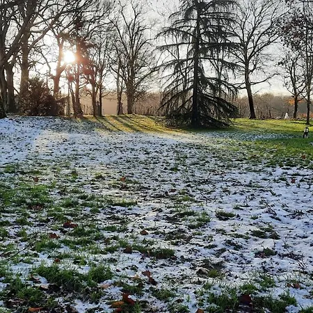 L'été près de la Loire - Gîte dans le parc d'une maison ancienne Ouzouer-Sur-Trezee Extérieur photo