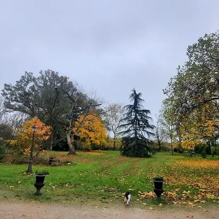 L'été près de la Loire - Gîte dans le parc d'une maison ancienne Ouzouer-Sur-Trezee Extérieur photo