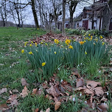 L'été près de la Loire - Gîte dans le parc d'une maison ancienne Ouzouer-Sur-Trezee Extérieur photo