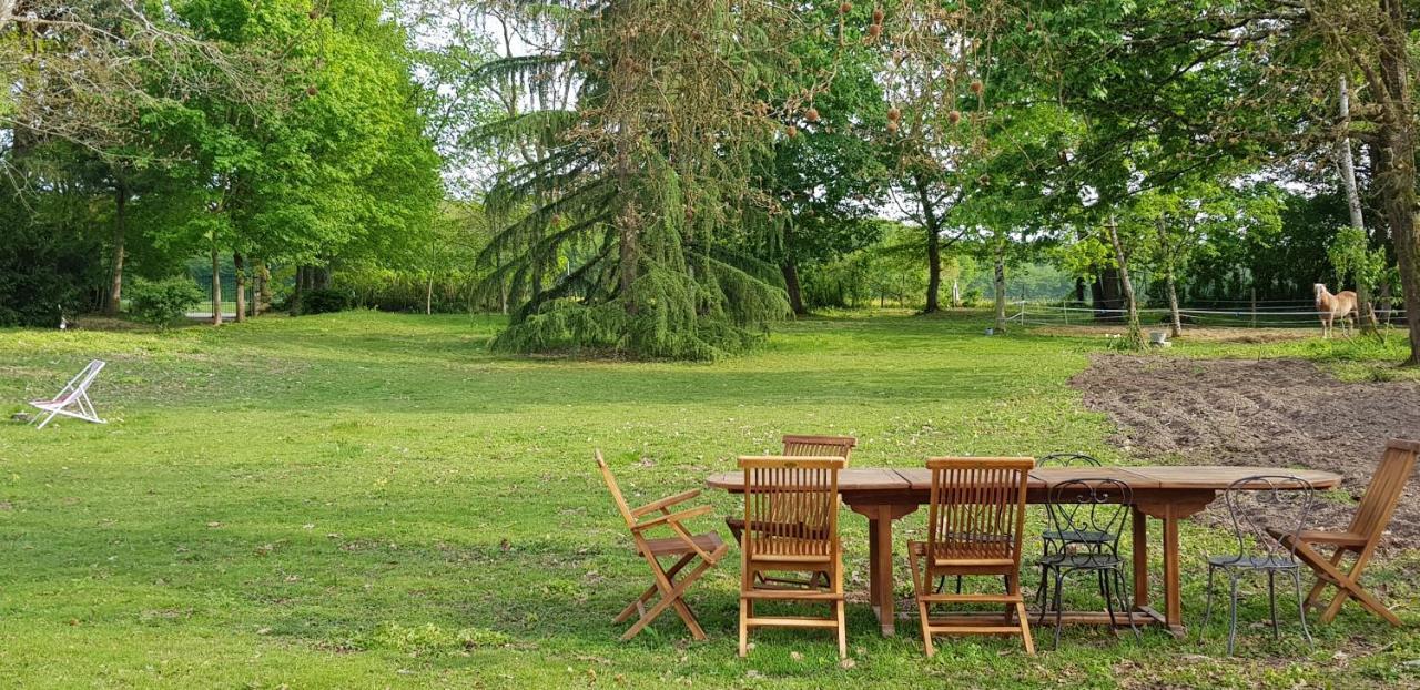 L'été Près De La Loire - Dans Le Parc D'une Maison Ancienne * Ouzouer-Sur-Trezee