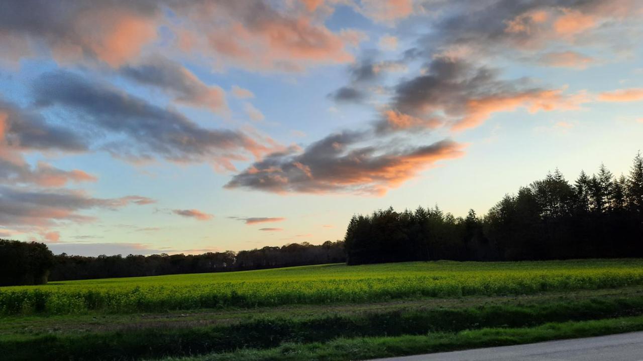 L'été Près De La Loire - Dans Le Parc D'une Maison Ancienne