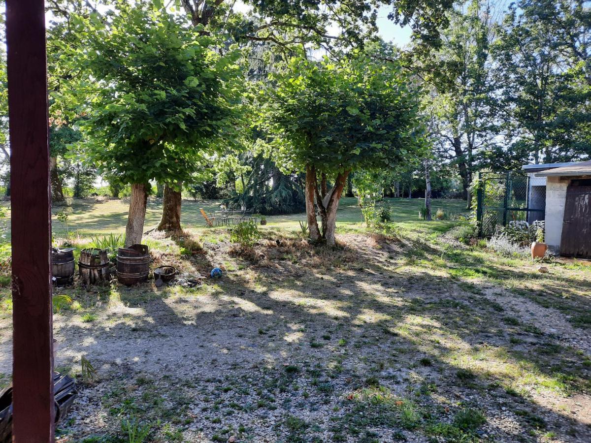 L'été Près De La Loire - Dans Le Parc D'une Maison Ancienne