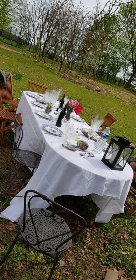 L'été Près De La Loire - Dans Le Parc D'une Maison Ancienne Hébergement de vacances Ouzouer-Sur-Trezee