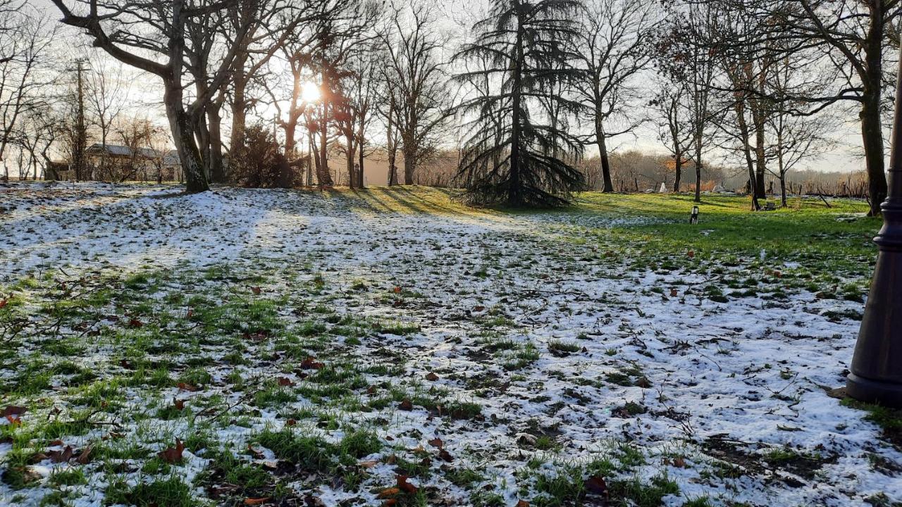 L'été Près De La Loire - Dans Le Parc D'une Maison Ancienne Hébergement de vacances