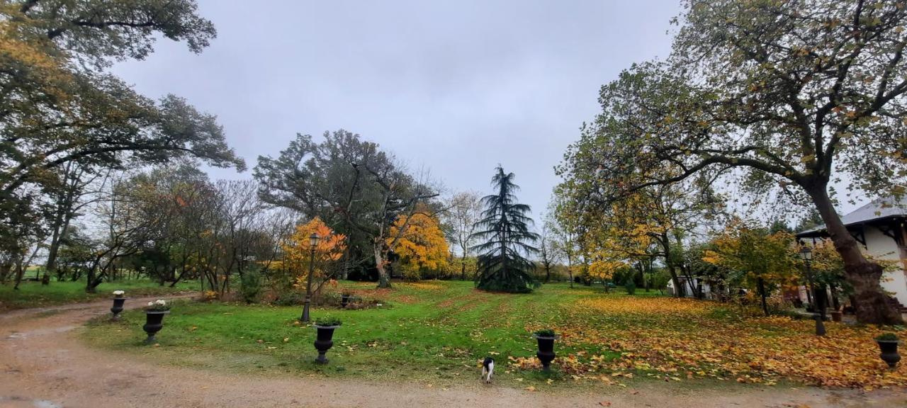 L'été Près De La Loire - Dans Le Parc D'une Maison Ancienne Ouzouer-Sur-Trezee