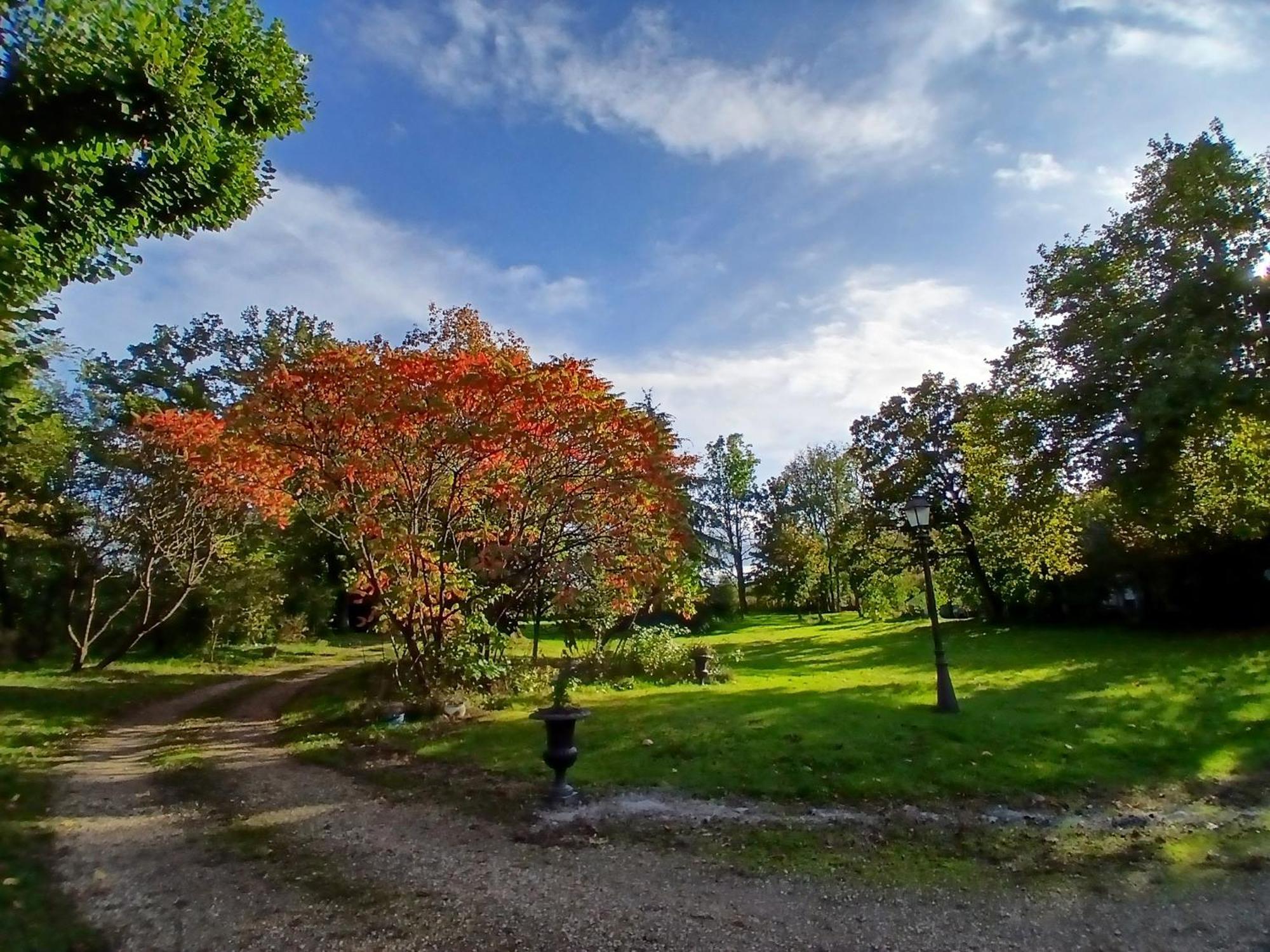 L'été Près De La Loire - Dans Le Parc D'une Maison Ancienne